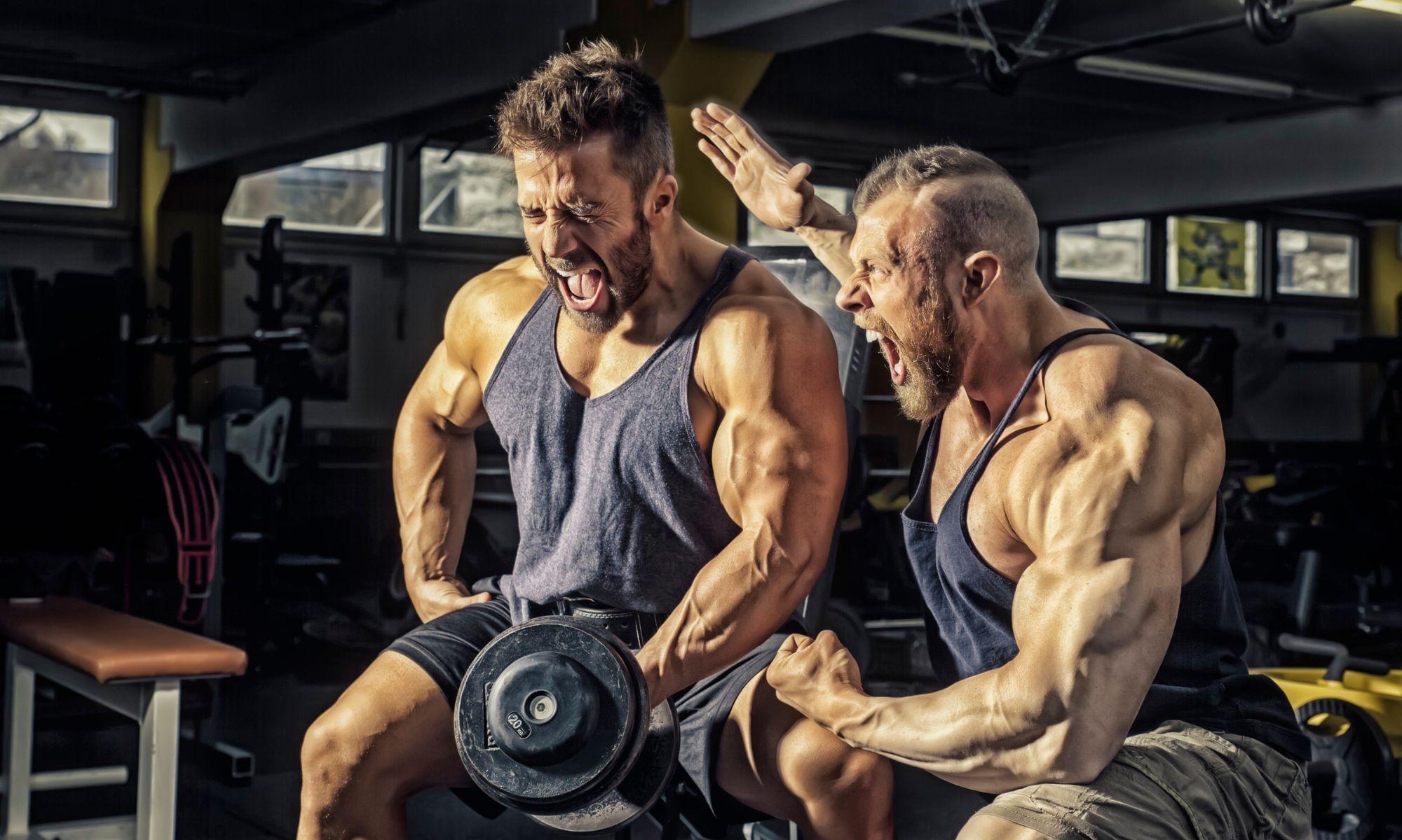 gymbro